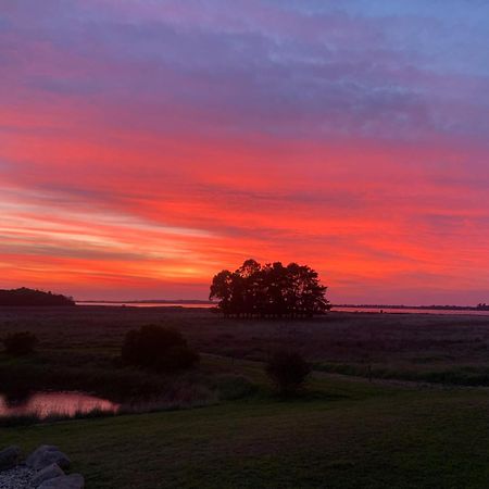 Pelican Point Sanctuary St Helens Dış mekan fotoğraf