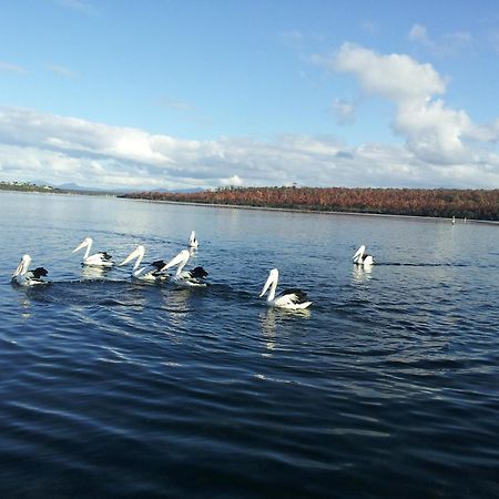 Pelican Point Sanctuary St Helens Dış mekan fotoğraf
