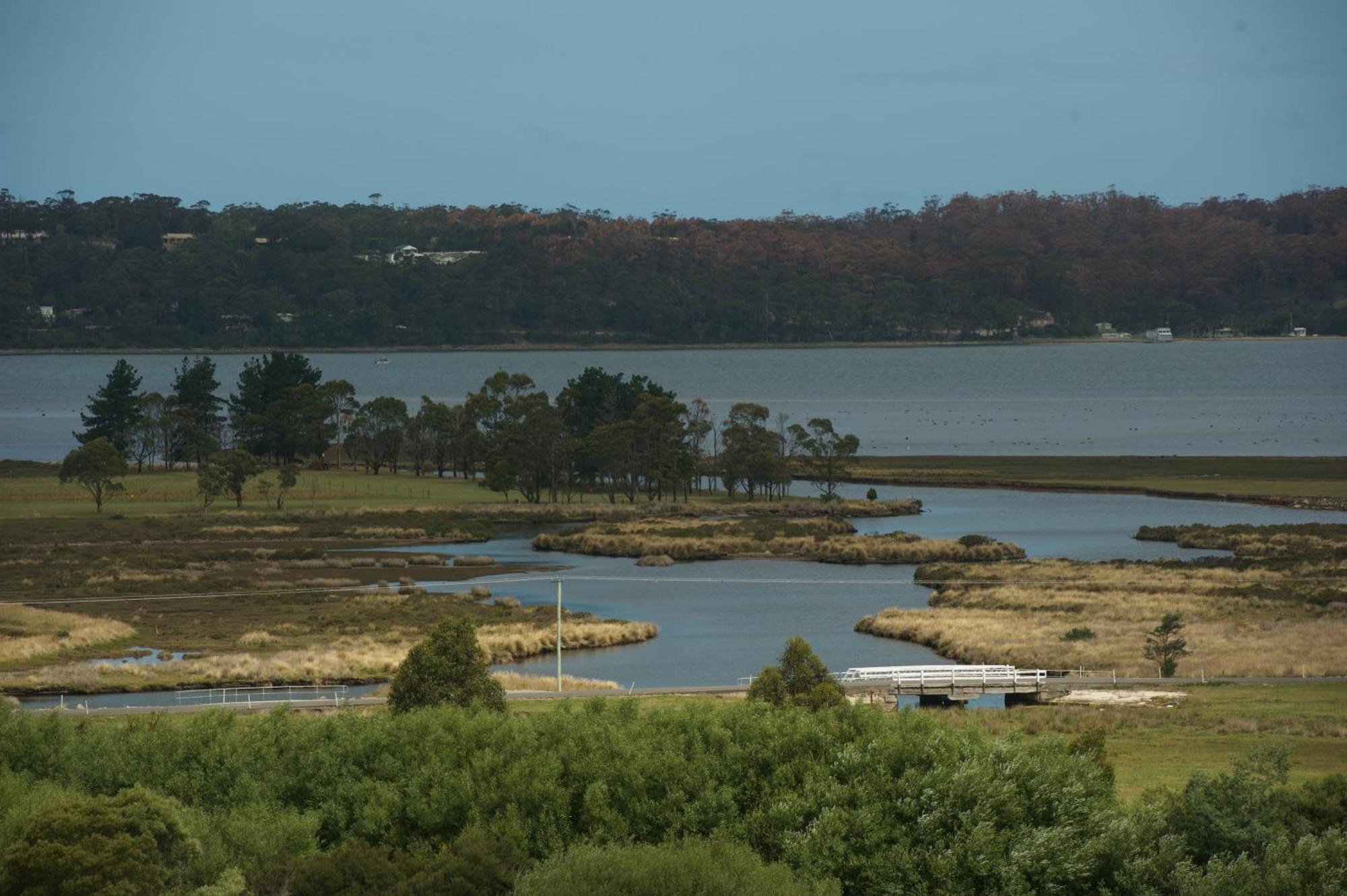 Pelican Point Sanctuary St Helens Dış mekan fotoğraf