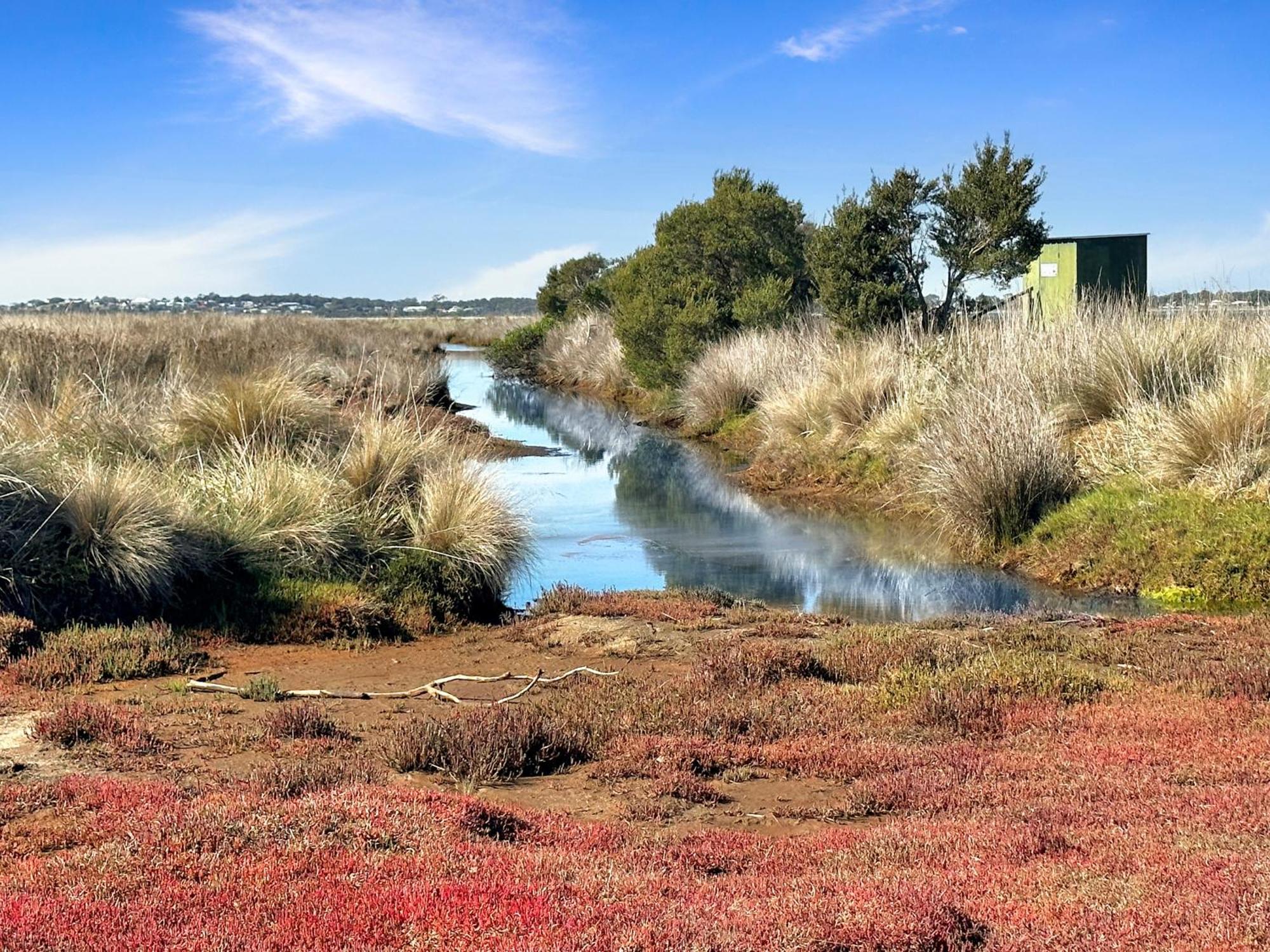 Pelican Point Sanctuary St Helens Dış mekan fotoğraf