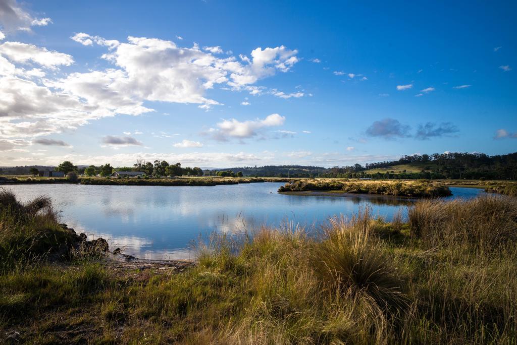 Pelican Point Sanctuary St Helens Dış mekan fotoğraf